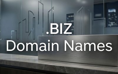 .BIZ Domain Names