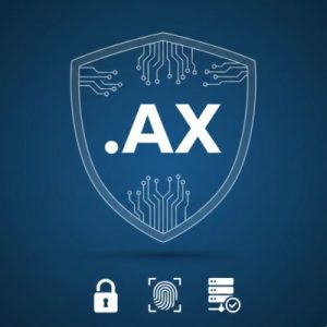 Built-in Security and Protection Features of .AX Domains