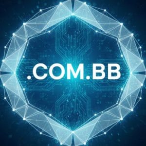Built-in Security and Protection Features of .COM.BB Domains
