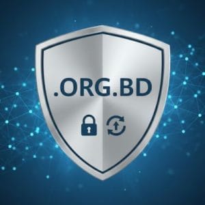 Built-in Security and Protection Features of .ORG.BD Domains