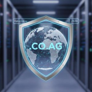 Common Domain Transfer Issues and How to Avoid Them - .CO.AG domain