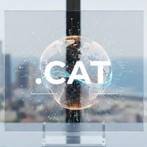 Complete .CAT Domain Registration Workflow