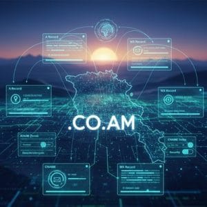 DNS Settings and Management for .CO.AM Domains