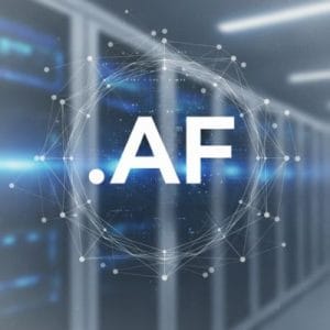 DNS Settings and Management for .NET.AF Domains