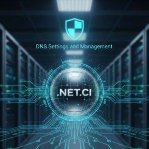DNS Settings and Management for .NET.CI Domains