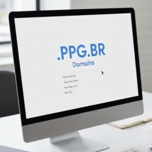 DNS Settings and Management for .PPG.BR Domains