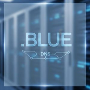 DNS Settings for .BLUE Domains
