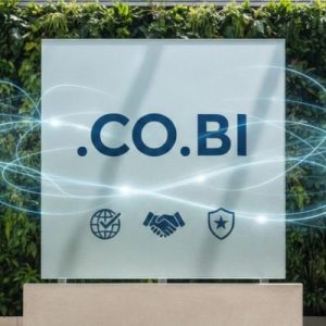 Global Recognition, Trust, and Credibility of .CO.BI Domains