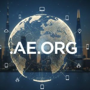 Global Recognition of .AE.ORG Domains