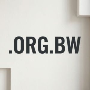 History, Credibility, and Global Popularity of .ORG.BW Domains
