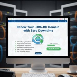 How to Renew a .ORG.BD Domain with Zero Downtime