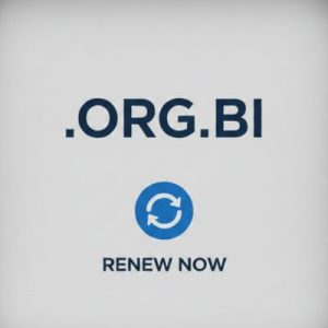 How to Renew a .ORG.BI Domain with Zero Downtime