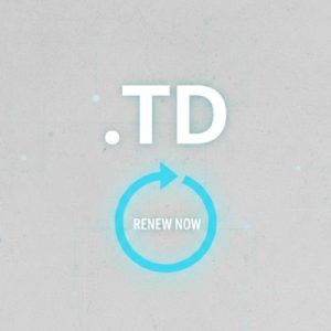 How to Renew a .TD Domain with Zero Downtime