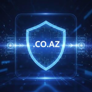 How to Transfer Your .CO.AZ Domain Safely and Securely