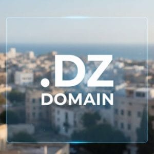 How to Transfer Your .DZ Domain Safely and Securely