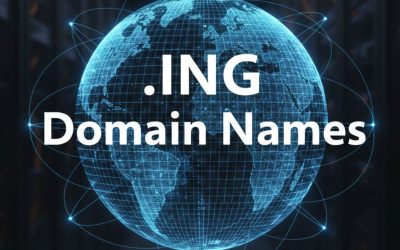 .ING Domain Names