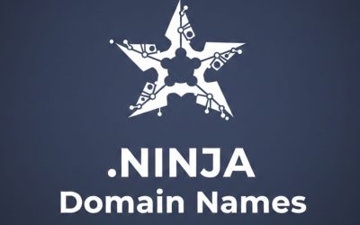 .NINJA Domain Names