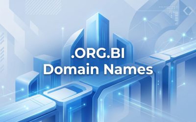 .ORG.BI Domain Names