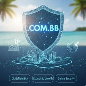 Role of the .COM.BB Domain Registry
