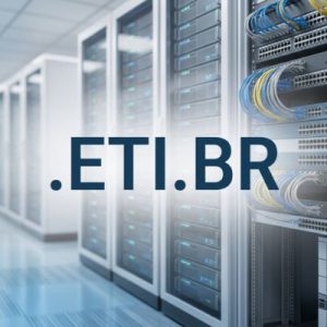 Role of the .ETI.BR Domain Registry