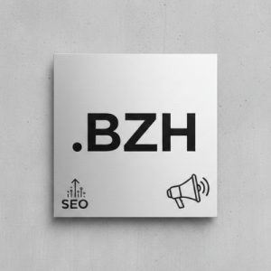 SEO and Marketing Advantages of .BZH Domains