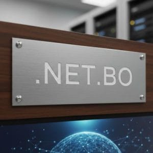 SEO and Marketing Advantages of .NET.BO Domains
