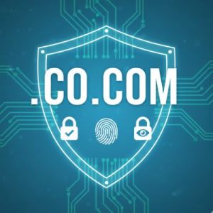 Security Features Available for .CO.COM Domains 