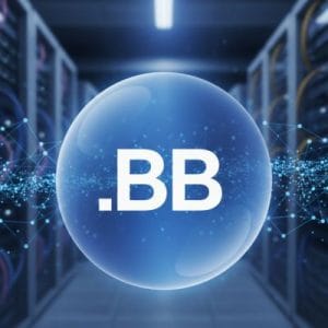 What is a .BB Domain
