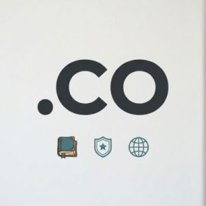 What is a .CO Domain