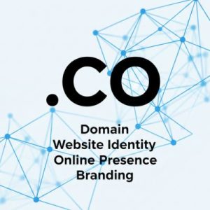 What is a .CO Domain