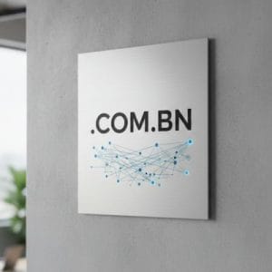 What is a .COM.BN Domain