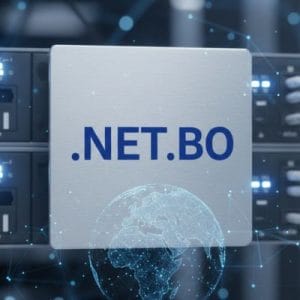 What is a .NET.BO Domain?