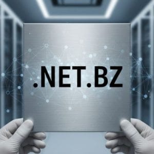 What is a .NET.BZ Domain