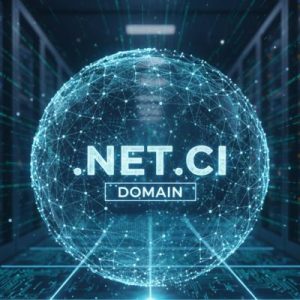 What is a .NET.CI Domain