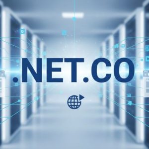 What is a .NET.CO Domain