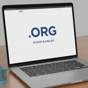 What is a .ORG.BO Domain?