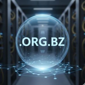 What is a .ORG.BZ Domain
