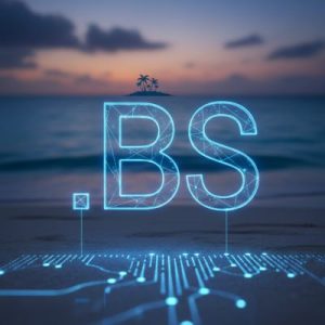 When and Why You Should Renew Your .BS Domain