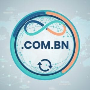 When and Why You Should Renew Your .COM.BN Domain