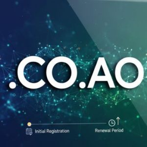 When and Why You Should Renew Your .CO.AO Domain