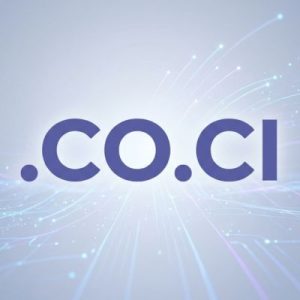 When and Why You Should Renew Your .CO.CI Domain