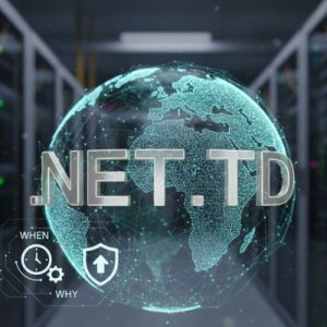 When and Why You Should Renew Your .NET.TD Domain