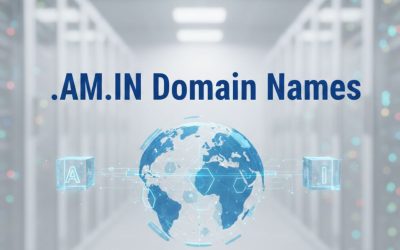 .AM.IN Domain Names