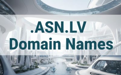 .ASN.LV Domain Names