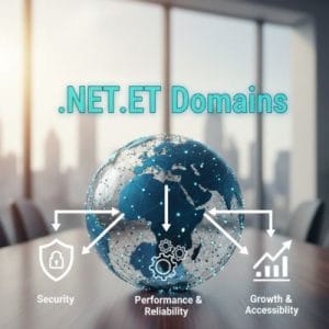 Advantages of Hosting Your .NET.ET Domain with Hiya Digital