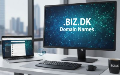 .BIZ.DK Domain Names