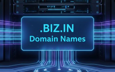 .BIZ.IN Domain Names