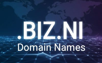 .BIZ.NI Domain Names