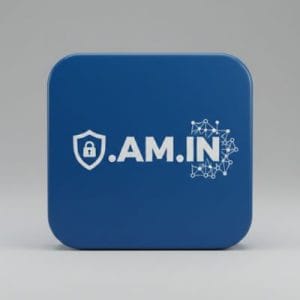 Built-in Security and Protection Features of .AM.IN Domain
