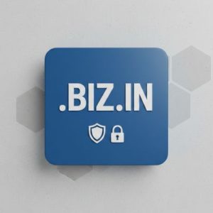 Built-in Security and Protection Features of .BIZ.IN Domain